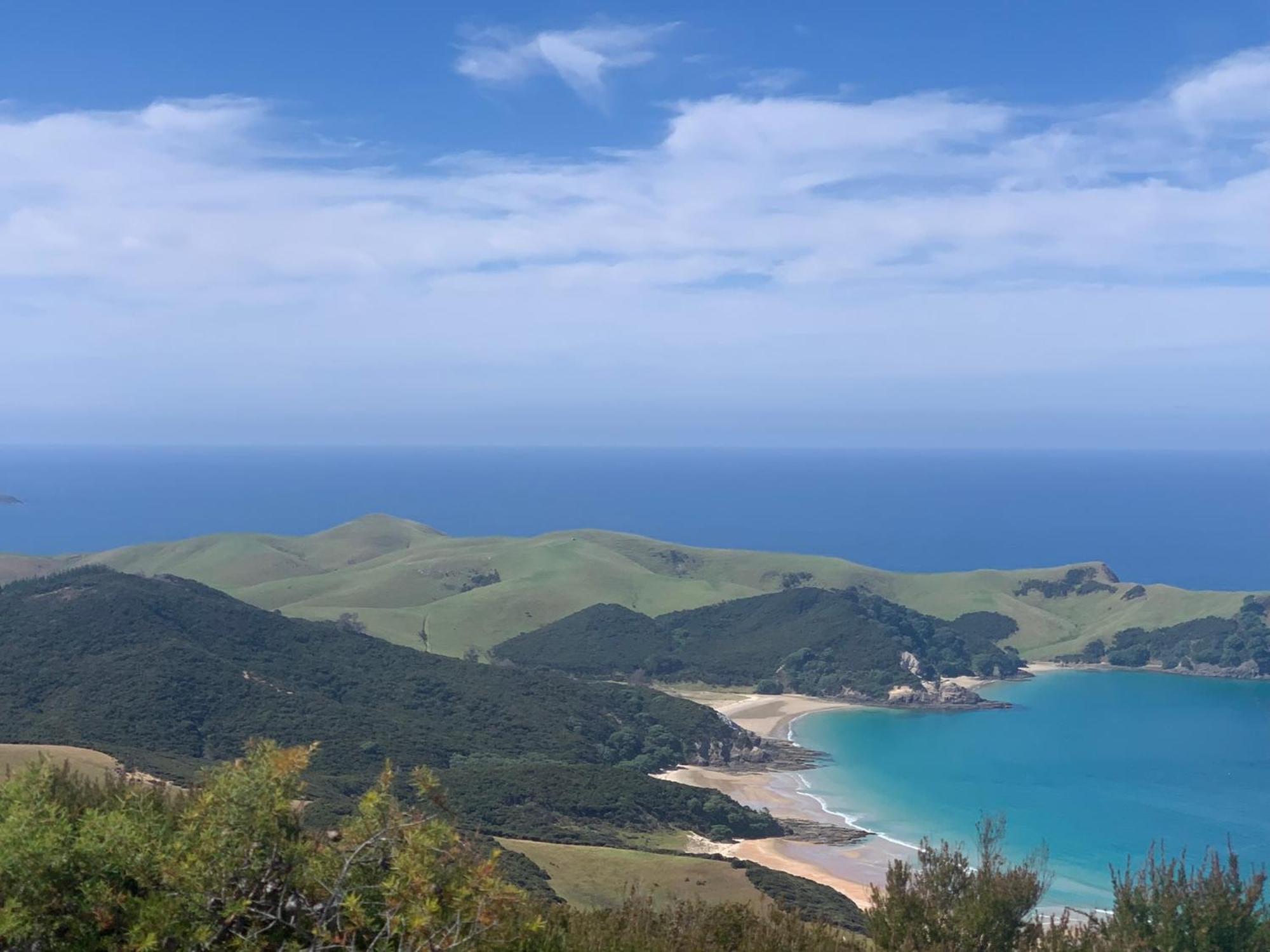 Green Turtle Cottage Pukenui Esterno foto
